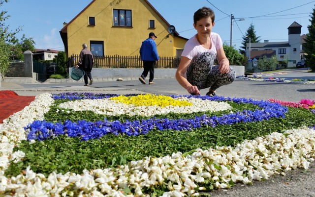 - Każda rodzina przyozdabia przed domem swój fragment ulicy, tak żeby dywany się  łączyły - tłumaczy Agnieszka Proksza z Klucza.