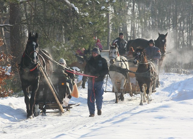 Kuligi to jedna z zimowych atrakcji nie tylko w Beskidach