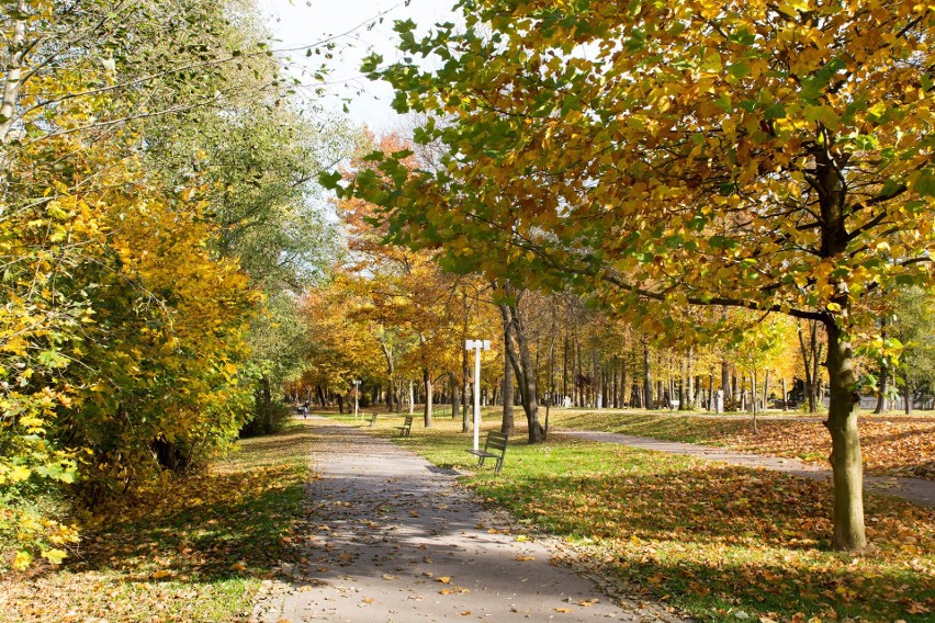 Myślenice. Park na Zarabiu poleca się na jesienny spacer. I czeka na patrona [ZDJĘCIA]