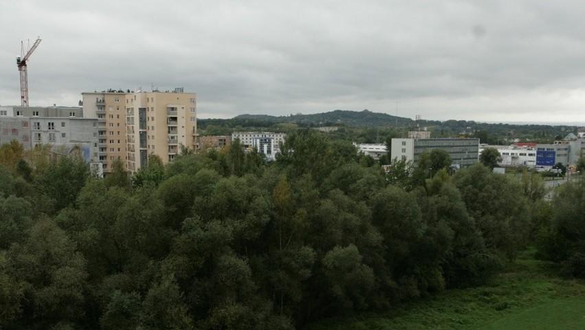 Kraków. Beton czy zieleń? O zieleń na Ruczaju znów trzeba walczyć