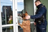 Wielkie serce dla dzieci przebywających w szpitalu, czyli akcja „Uśmiech dla Każdego”