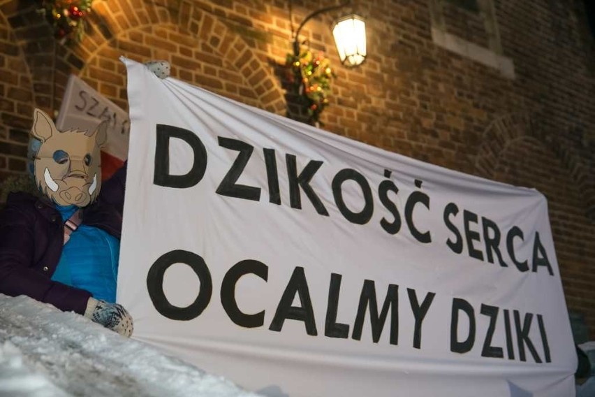 Kraków. "Dziki" na Rynku Głównym? To protest przeciwko masowym polowaniom [ZDJĘCIA]