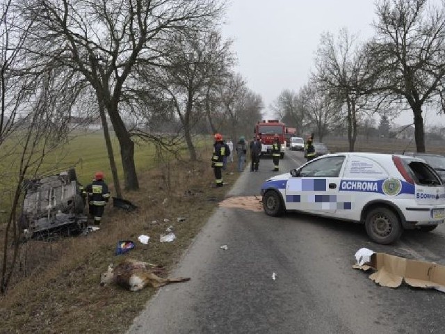 Dwa rozbite samochody i martwa sarna - to efekt czwartkowej kolizji w miejscowości Sarnówek Duży.