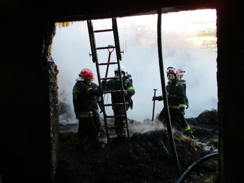 Pożar gospodarstwa w Skrzelczycach w powiecie kieleckim