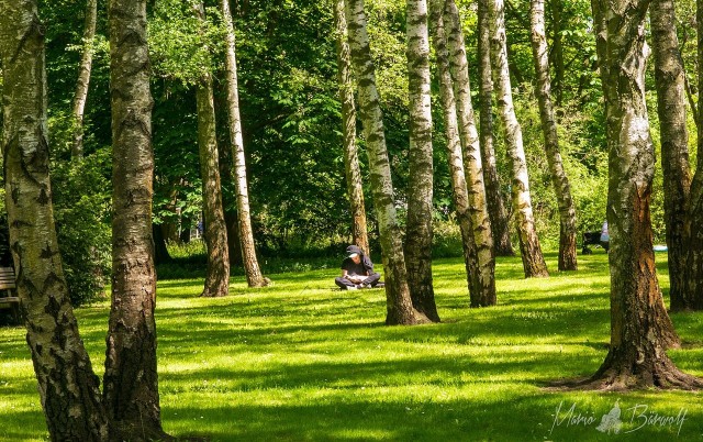 Cuda natury w naszych polskich lasach. Za czym warto rozejrzeć się podczas spaceru w lesie?Zobacz kolejne zdjęcia. Przesuwaj zdjęcia w prawo - naciśnij strzałkę lub przycisk NASTĘPNE