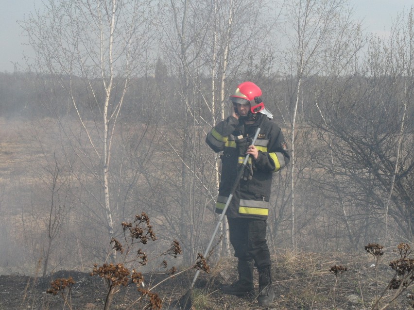 Pożar łąki w Milowicach
