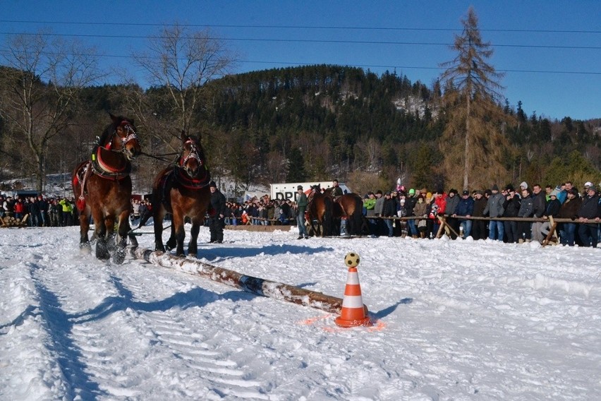 Zawody Furmanów 2017 w Węgierskiej Górce