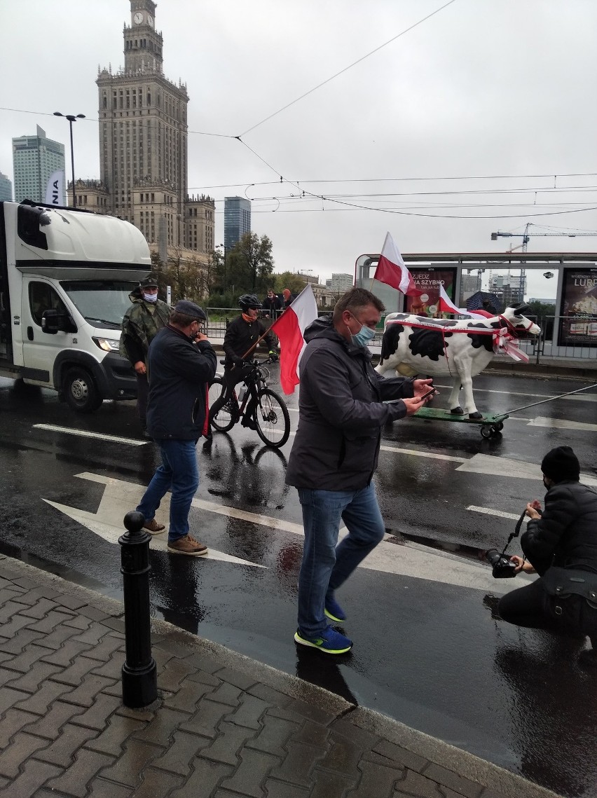 Świętokrzyscy rolnicy na wielkim proteście w Warszawie przeciwko "piątce dla zwierząt" [ZDJĘCIA, WIDEO]