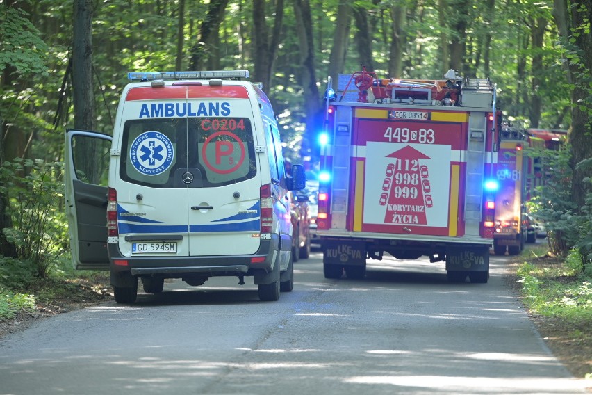 Tragiczny wypadek pod Grudziądzem. Samochód uderzył w drzewo. Nie żyje jedna osoba [zdjęcia]