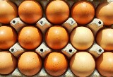 Czesi kwestionują jakość jaj w Polski. Ministerstwo będzie wyjaśniać