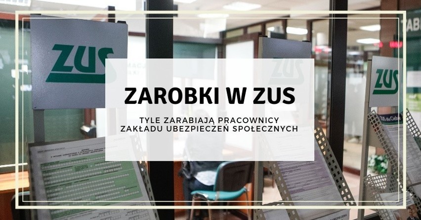 Sprawdziliśmy, ile zarabiają pracownicy ZUS w Bydgoszczy i...