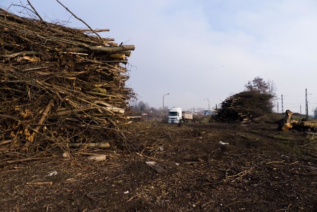 Taki widok rozpościera się od rejonu Grodzkiego Urzędu Pracy w stronę północy Krakowa