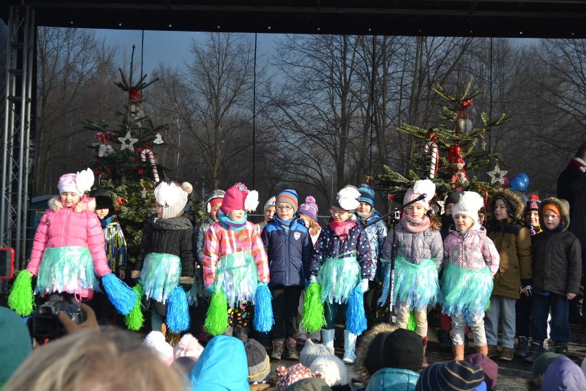 Sosnowiec: ogród jordanowski w Kazimierzu Górniczym od dziś otwarty [ZDJĘCIA i WIDEO]