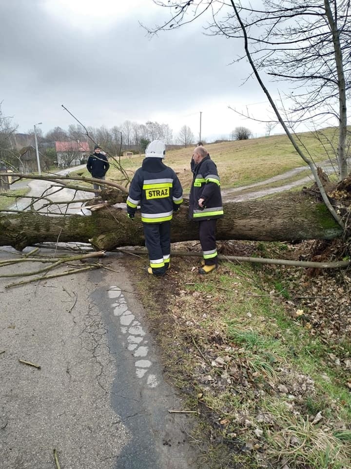 Wichura nie odpuszcza. Strażacy w Małopolsce zachodniej interweniowali blisko sto razy [ZDJĘCIA]