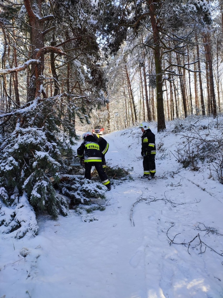 Strażacy w Kujawsko-Pomorskiem w związku z obfitymi opadami...