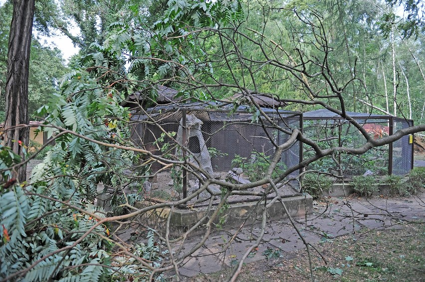 Nowe Zoo w Poznaniu w niedzielę i poniedziałek zamknięte. Po...