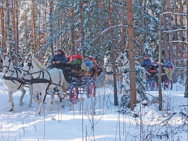 W Surażkowie konie zaprzęgane są do bryczek, śnieg nie jest więc niezbędny. Jednak, kiedy nie ma śniegu &#8211; nie ma też zainteresowania takimi przejażdżkami.