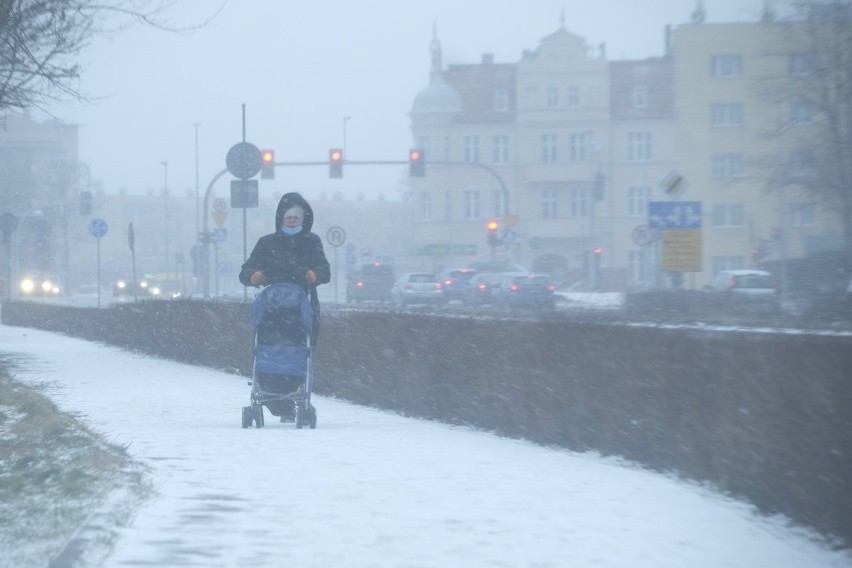 Śnieżyca w Toruniu