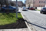 Tarnów. Na ulicy Piłsudskiego postawią blokady przy parkingu? Po remoncie kierowcy nagminnie rozjeżdżają trawniki