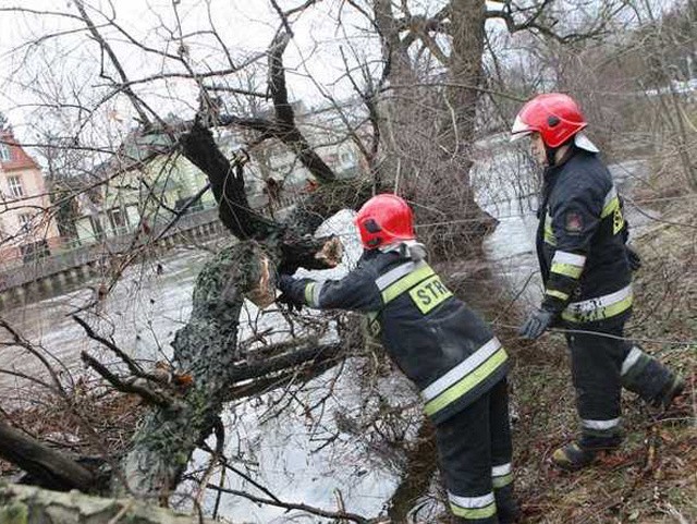 Strażacy usuwają powalone drzewo. Skutki wichury, która przeszła nad regionem słupskim na początku tygodnia.