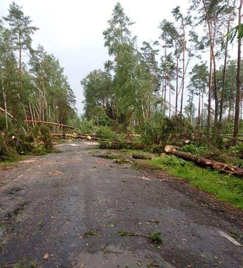 Powalone na drogi drzewa, uszkodzone dachy, awaria prądu - skutki burzy, która 13 lipca 2021 przeszła nad powiatem ostrołęckim. Zdjęcia