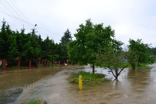 Woda zalewa posesje i pola w Noskowie (powiat jarociński)