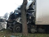 Nagórki-Jabłoń: Wypadek ciężarówki. Drzewo zmiażdżyło kabinę iveco. Kierowca zasnął za kółkiem (zdjęcia)