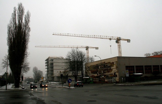 Polan jeszcze rośnie, ale już dominuje w krajobrazie.