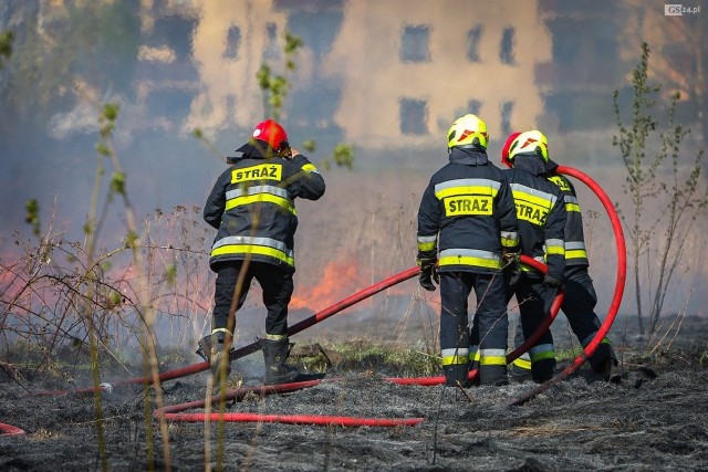 Zdjęcie ilustracyjne.