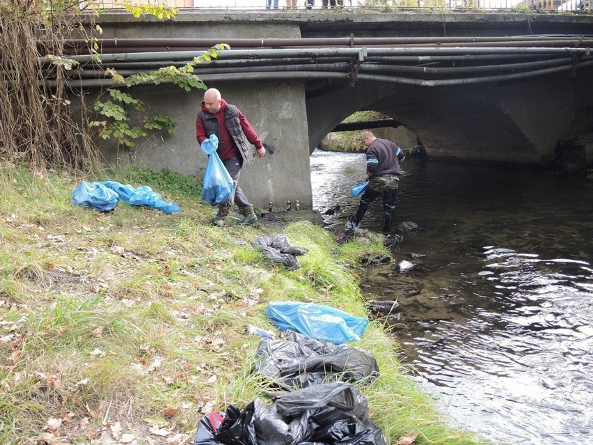 Sprzątanie rzeki Studnicy w Miastku