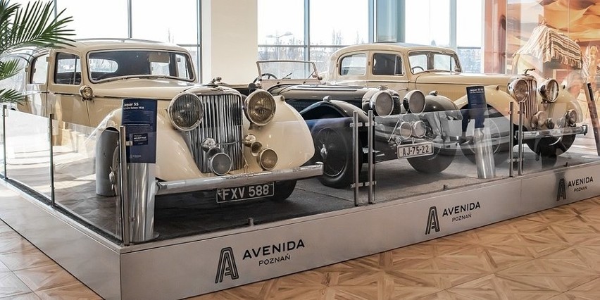 Poznań: Wystawa jaguarów w centrum handlowym Avenida - zobacz kultowe modele samochodów od wyścigówek do limuzyn [ZDJĘCIA]