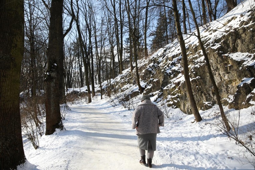 Park Bednarskiego