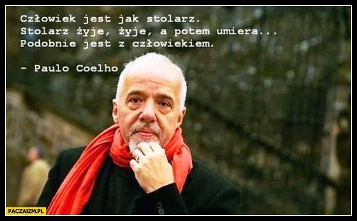 Żelazko jest gorące, gdy się nagrzeje. Internet śmieje się z mądrości Paulo  Coelho. Które MEMY najlepsze? | Nowiny