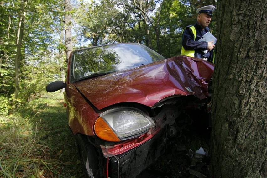 Wrocław: Wypadek na Marszowickiej. Fiat wjechał w drzewo [ZDJĘCIA]