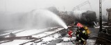 Pożar po zderzeniu pociągów. Sytuacja na torach opanowana, 13 cystern zniszczonych. (zdjęcia, wideo)