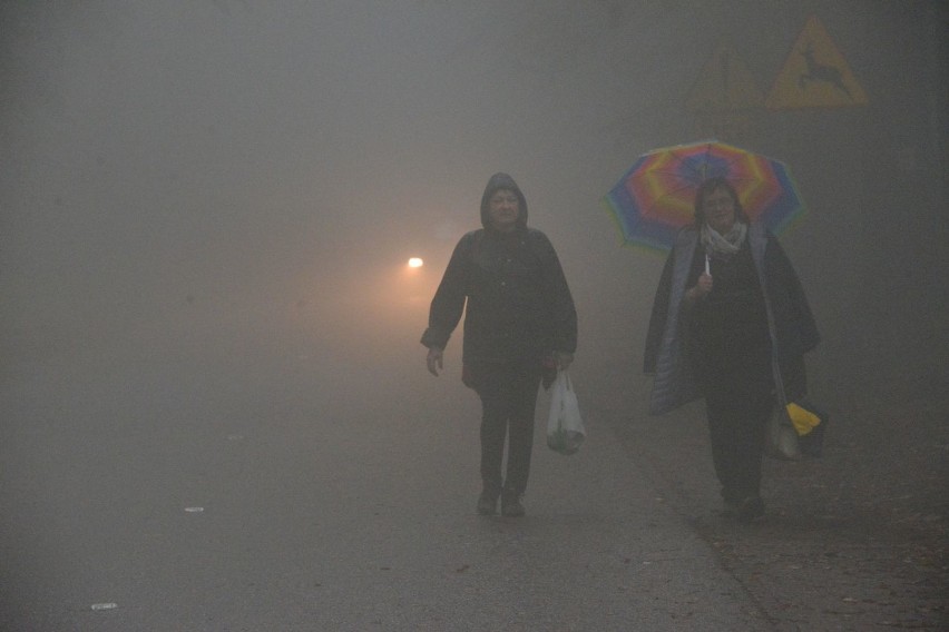 Trzy tysiące pielgrzymów z trzech diecezji dotarło na Święty Krzyż (WIDEO, zdjęcia)