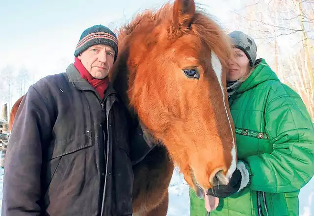 Wiesław Czul i jego żona Magdalena końmi opiekują się od ponad 15 lat. Klub Gaja chce je im odebrać.