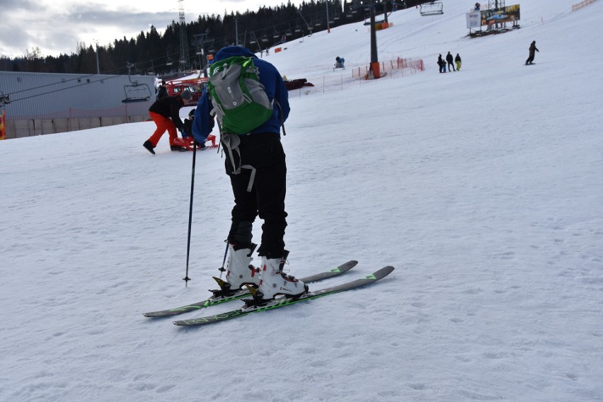 Nowy sport w górach? Połącznie narciarstwa i psich zaprzęgów [ZDJĘCIA]