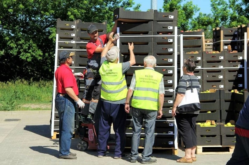 Rozdają mieszkańcom setki tysięcy jabłek. Za darmo...