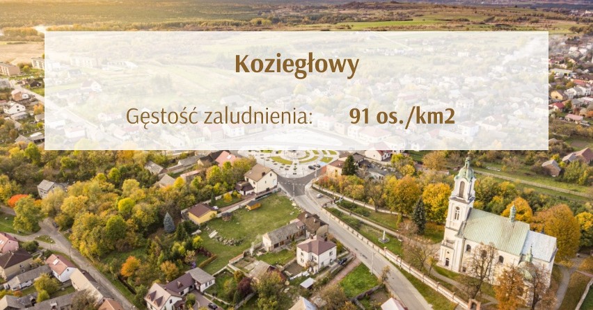 Miasta na Śląsku o najmniejszej gęstości zaludnienia. Sprawdź, jak wygląda sytuacja w naszym regionie według ostatnich danych! 