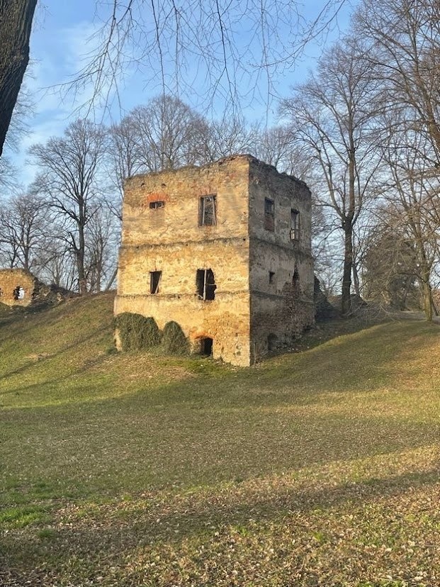 W Dąbrówce Starzeńskiej, miejscowości w gminie Dynów w...