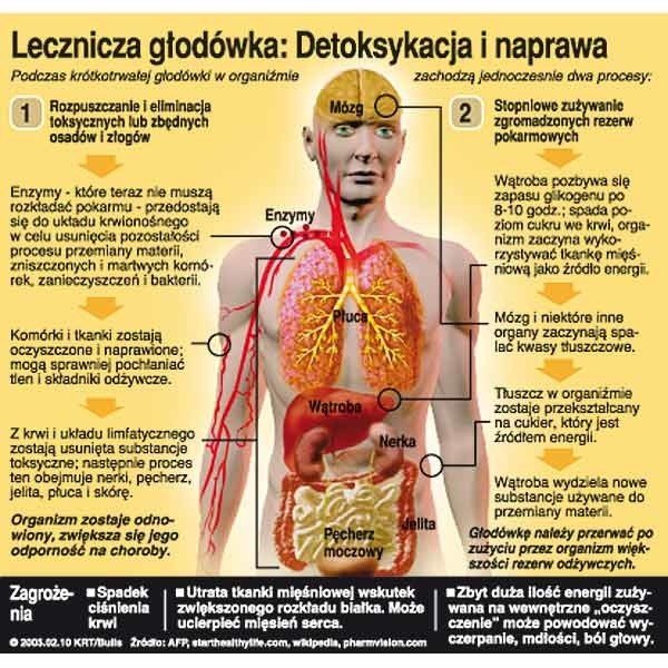 Organizm Odżywiający Się Kosztem Innego Organizmu Jak pozbyć się toksyn z organizmu | Nowiny