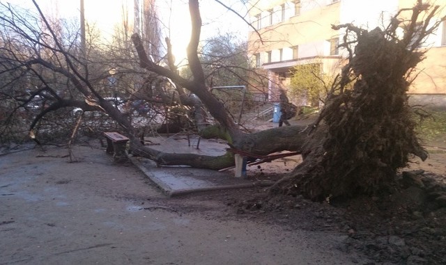 Porywisty wiatr na Śląsku łamie drzewa i powoduje utrudnienia na kolei. Tysiące ludzi nie mam prądu