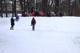 Zima w parkach jasnogórskich w Częstochowie. Chętnych do spędzania czasu w tym miejscu nie brakuje. Zobaczcie zdjęcia