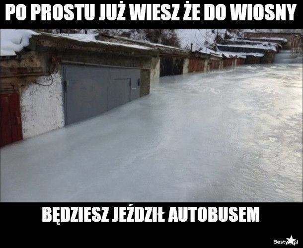 Województwo podlaskie nawiedziły przymrozki. Internauci...