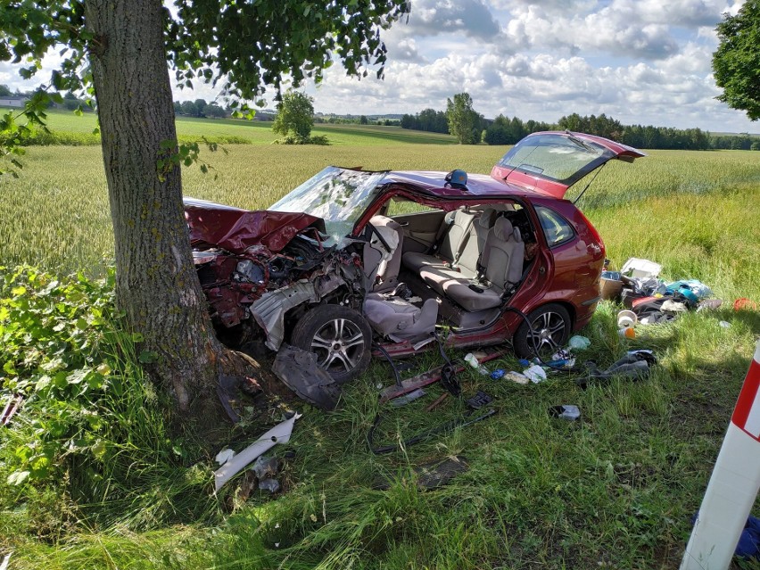 Poważny wypadek w gminie Rogów. Samochód z dwojgiem pasażerów wypadł z drogi i uderzył w drzewo