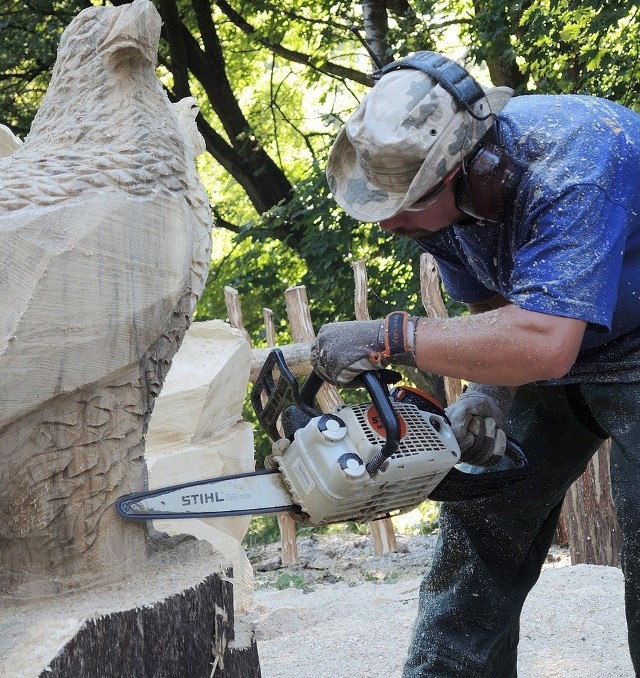 Pięć godzin Marek Piotrowski rzeźbił w Dretyniu orła. Użył do tego wyłącznie piły.