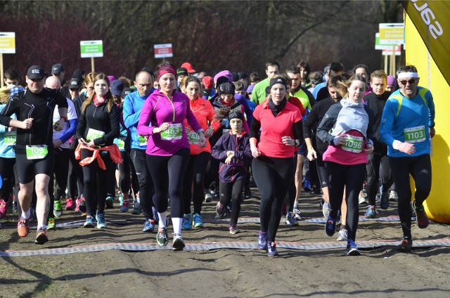 Biegi City Trail w Poznaniu mają już od wielu lat wierne grono swoich uczestników