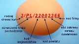Co oznaczają kody na jajku? Jak czytać liczby na jajkach? Co oznaczają?