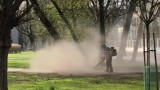 Sprzątnie parku przy pomocy dmuchawy do liści. Łódź wycofuje dmuchawy [FILM]